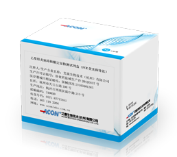 乙型肝炎病毒核酸定量檢測(cè)試劑盒（PCR熒光探針?lè)ǎ?png