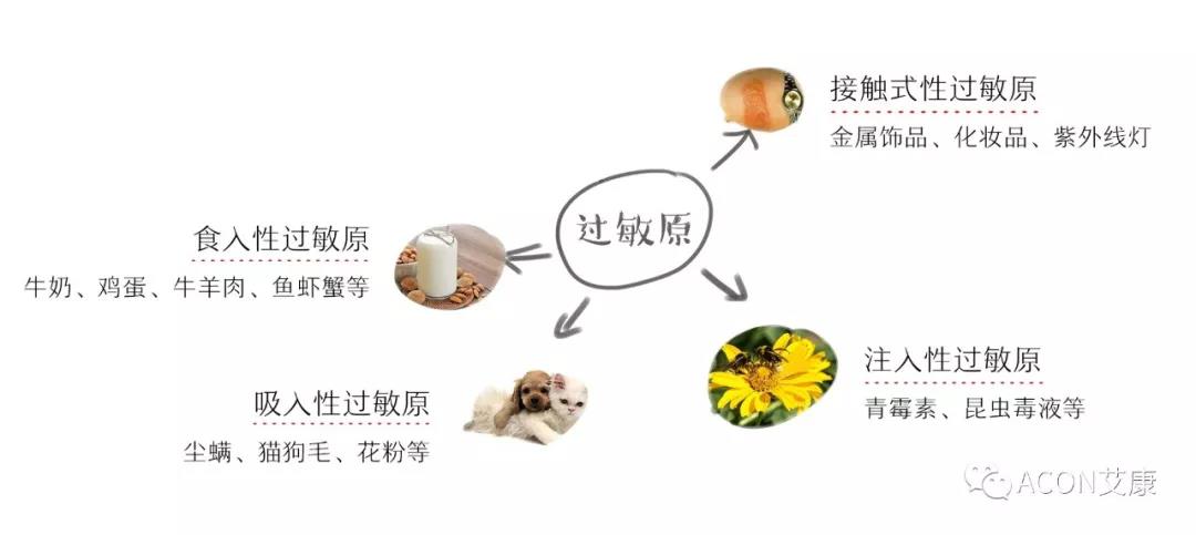 APAAACI 2019 | 深入解讀過(guò)敏原：從診斷到治療，優(yōu)化過(guò)敏原診斷管理——艾康生物過(guò)敏原檢測(cè)分會(huì)
