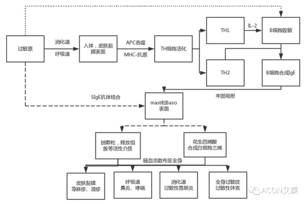APAAACI 2019 | 深入解讀過(guò)敏原：從診斷到治療，優(yōu)化過(guò)敏原診斷管理——艾康生物過(guò)敏原檢測(cè)分會(huì)