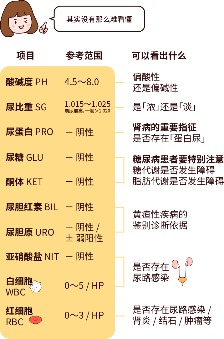 排尿黃、異味大，可能是身體在報警！