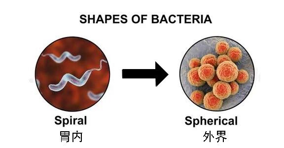 這種致癌物傳染性極強，50%中國人都有！很多人還不知道